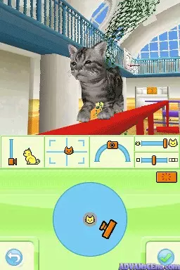 Image n° 3 - screenshots : Petz - Catz Playground